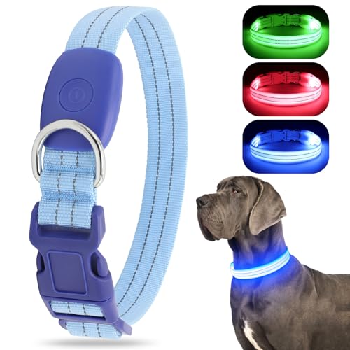 CHALKLIT LED Leuchtend Hundehalsband, USB wiederaufladbar, wasserdicht, blinkendes Halsband, leuchtet im Dunkeln, für kleine, mittelgroße und große Hunde, verstellbar, Sicherheit für die Nacht von ChalkLit