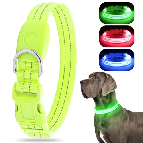 LED Leuchtend Hundehalsband, USB wiederaufladbar, wasserdicht, blinkendes Halsband, leuchtet im Dunkeln, für kleine, mittelgroße und große Hunde, verstellbar, Sicherheit für die Nacht von ChalkLit