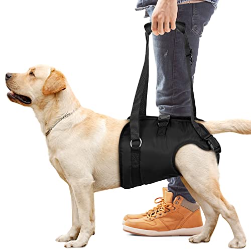 ChalkLit Dog Lift Harness, Dog Support Harness for Back Legs, Soft Dog Support Sling for Injured Disabled Small, Medium Large Dogs, Dog Sling for Back Legs(Medium) von ChalkLit