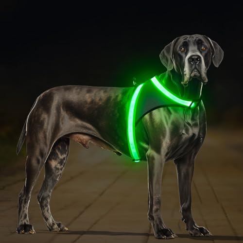 ChalkLit LED Leuchtendes Hundegeschirr USB Wiederaufladbares Vollständig Beleuchtetes Hundegeschirr Leuchtet Im Dunkeln für Nachtspaziergänge Sicherheitsweste, mittelgroße große Hunde (Grün, XL) von ChalkLit