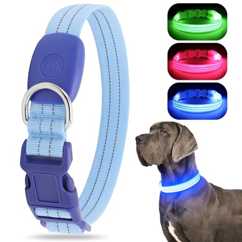 Chalklit LED-Hundehalsband, wiederaufladbar über USB, wasserabweisend, reflektierend, leuchtet im Dunkeln, Größe L, Blau von ChalkLit