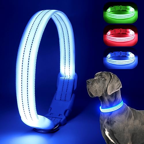 Chalklit LED-Hundehalsband, wiederaufladbar, wasserdicht, reflektierend, verstellbar, blinkend, leuchtet im Dunkeln, für kleine, mittelgroße und große Hunde, Sicherheit bei Nacht (Medium, Blau) von ChalkLit