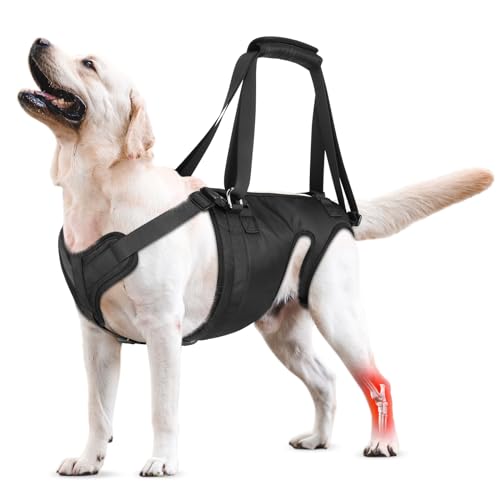 Dog Lift Harness Dog Sling for Large Medium Dogs' Hind Leg Support Pinking Ideal for Senioren, Disabled, Injured & Arthritic Dogs in ACL Recovery, Secure Harness for Assisted Mobility (Large) von ChalkLit
