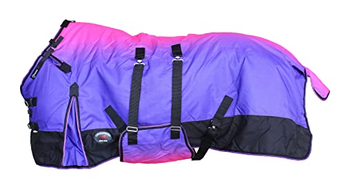 CHALLENGER 1200D Pferdedecke, mittelschwer, mit Fleece gefüttert, Bauchband, Winterdecke, 152,4 cm, 393LG von Challenger