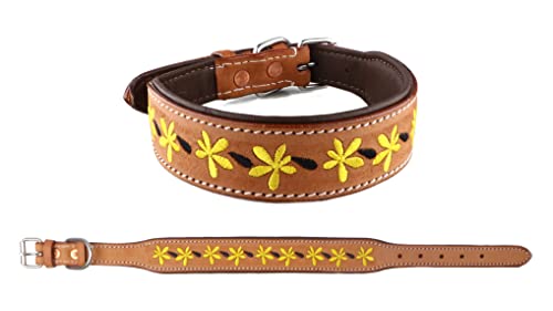 CHALLENGER 60BT08 Hundehalsband, gepolstert, Leder, mit Blumenstickerei, Größe M, 43,2-53,3 cm von Challenger