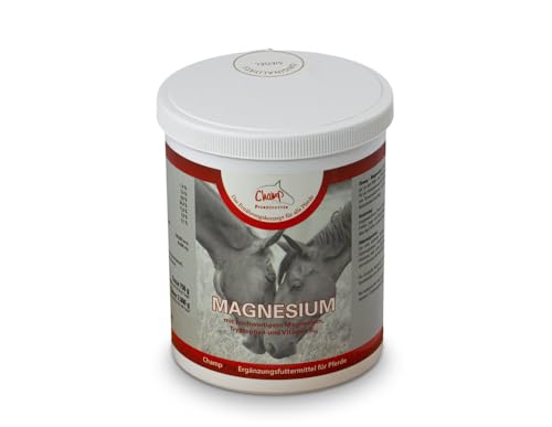 Champ Magnesium für Pferde, 750 g von Champ