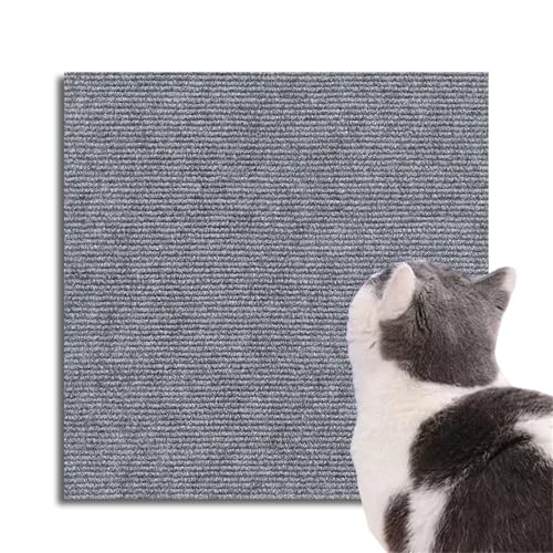 Selbstklebende kratzmatte Katzen, kratzmatte Katze Wand, kratzschutz Sofa Katze, DIY Geschnitten Katze Kratzteppich für Schützt Teppiche Sofa Möbelschutz (Hellgrau,30 * 100 cm) von Champracer