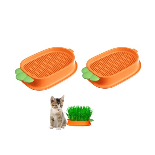 Changyeah Katzengras Wachstumsset, 2 Stück Katzengras Keimschale,Hydroponik Katzengraskasten, Hydrokultur Katzengras Pflanzgefäß,Katzenpflanze Pflanzkasten, für Katzenhunde Haustiere(Orange) von Changyeah