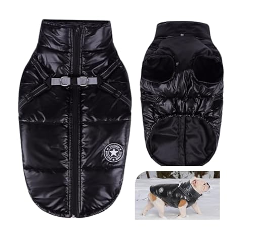 Hundemantel für Kleine Hunde, Wasserdicht Hundejacke Winter, Wintermantel mit Geschirr und Reflektor(Schwarz XL) von Charinor