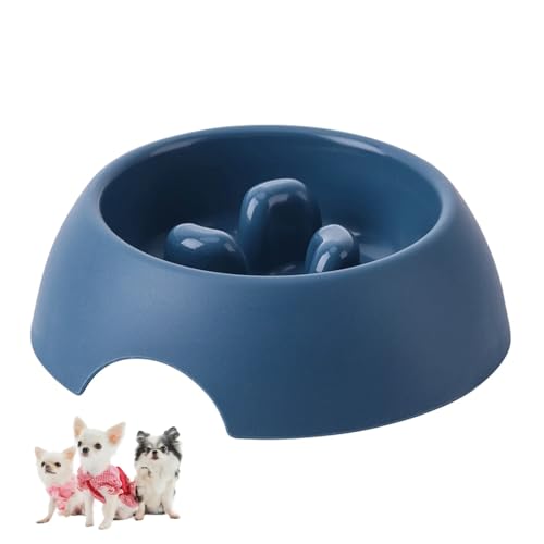 Hundenapf Kleine Hunde, Antischlingnapf, Anti Schling Napf Hund/Katze, Katzennapf, Katzen/Katzenfutter Napf(Blau) von Charinor