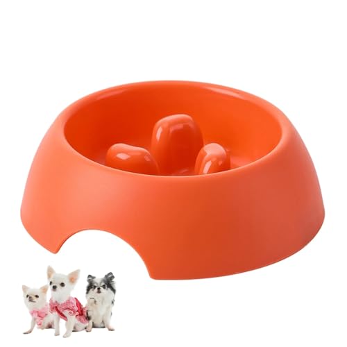 Hundenapf Kleine Hunde, Antischlingnapf, Anti Schling Napf Hund/Katze, Katzennapf, Katzen/Katzenfutter Napf(Orange) von Charinor