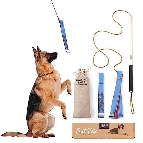 Chasing Tails Flirtstange für Hunde – stabile Aluminium-Flirtstange für große Hunde und kleine Hunde, sicheres Hundespielzeug mit verstellbarem Seil – 2 Hundespielzeuge im Lieferumfang enthalten von Chasing Tails