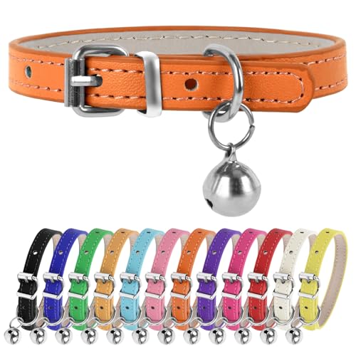 ChengFu XXS Hundehalsband, Teetassen-Hundehalsband, orangefarbenes Hundehalsband, Teetassen-Hundehalsband für kleine Hunde und Katzen, Orange, 0,95 cm Breite von ChengFu