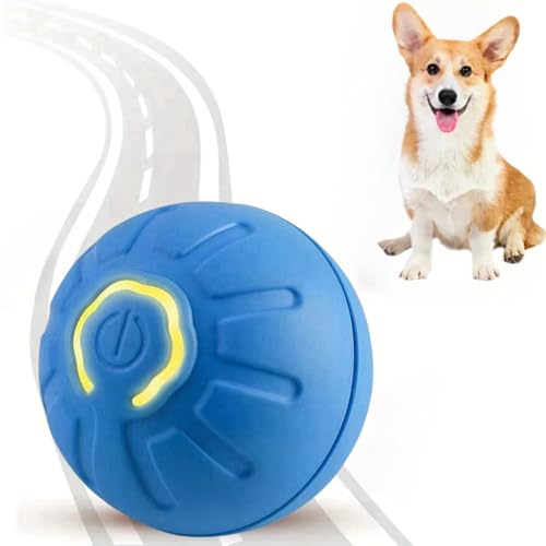 Ball für Katzen und Hunde, selbstrollender Ball, bewegliches interaktives Hundespielzeug, aktives bewegliches Haustier-Plüschspielzeug, interaktives rollendes Hundespielzeug, bewegliche Bälle für von ChengJin