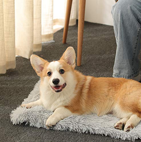 Chenge 2-in-1 Plüschdecke und Donut-Bett, weiches Haustierbett für Katzen, Welpen, Hunde, flauschig, selbstwärmend, faltbar, für Reisen, Zuhause, drinnen und draußen (2 Stück, grau) von Chenge