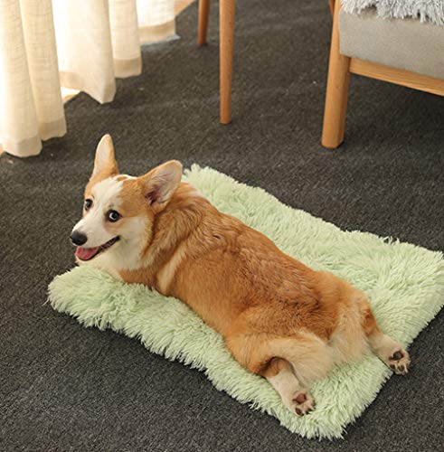 Chenge Flauschige Haustierbett-Decke, selbstwärmend, 2-in-1 Plüschdecke und Donut-Bett-Nest, weiche Haustierkissen-Matte für Katzen, Welpen, Hunde, drinnen und draußen, 40 x 30 cm von Chenge