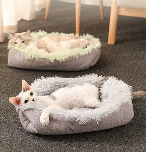 Chenge Plüsch-Haustierbett für Katzen, Welpen, Hunde, flauschige 2-in-1-Plüschdecke und Donut-Bett-Matte, warm, faltbar, Haustierbett für Reisen, Zuhause, drinnen und draußen (grau + grün) von Chenge