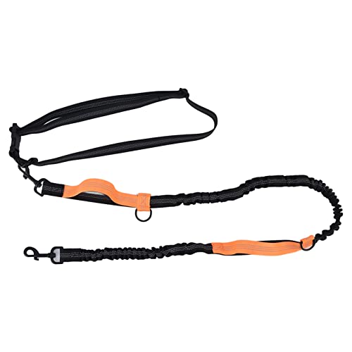 Seilleinen für Hunde, robuste Hundeleine, Trainingshundeleine, Haustierleine, reflektierendes, einziehbares, tragbares, verstellbares Hundezugseil, für Haustiere, Hunde (Orange) von ChengyuWei