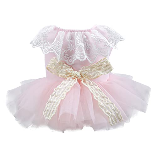 Chenxi Studio Hund Tutuu Kleid Hund Prinzessin Kleid Welpen Kleid Hundekostüm Hundekleider Hundekleidung Haustier Kleider Hund Schleifen Kleid von Chenxi Studio