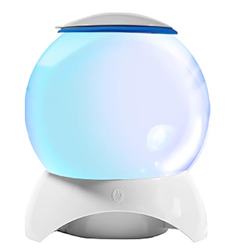 Chenxi Studio Klare, kugelförmige Quallen-Aquarien mit LED-Lichtern für Innendekoration, mit mehrfarbigen LED-Lichtern für Kinder von Chenxi Studio