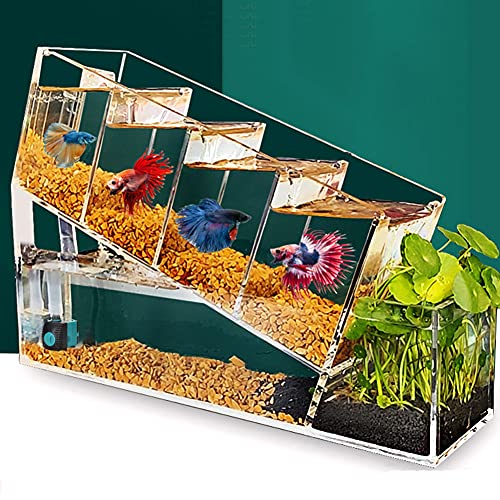 Betta Aquarium Aquarium Kit Acryl Material Mini Desktop Kleines Aquarium Betta Falls Aquarium Kit mit Wasserpumpe Multi Cell Self Circulation Ecological Tank von Chestnut-YX