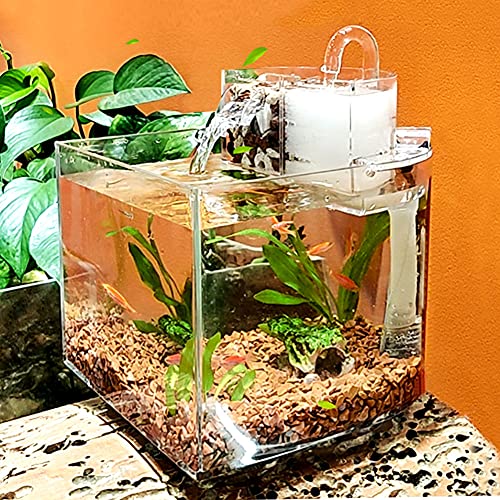 Kleines Betta Aquarium Set Aquarium Kit Goldfish Mini Desktop Aquarium Schalen Kit mit Wasserpumpe und Filterbox Selbstzirkulation Ökologischer Tank Kranke Fische Isolation Zimmer Aquarium Zubehör von Chestnut-YX