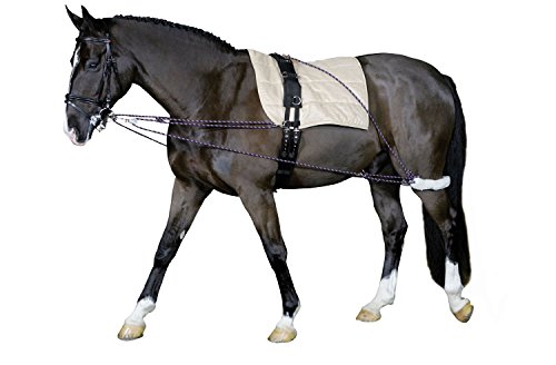 Cheval Longierhilfe Bodenarbeit Ausbildung Pony und Kleinpferde- Longiersystem Warmblut Longier-und Trainingssystem Longieren Hilfszügel von Cheval