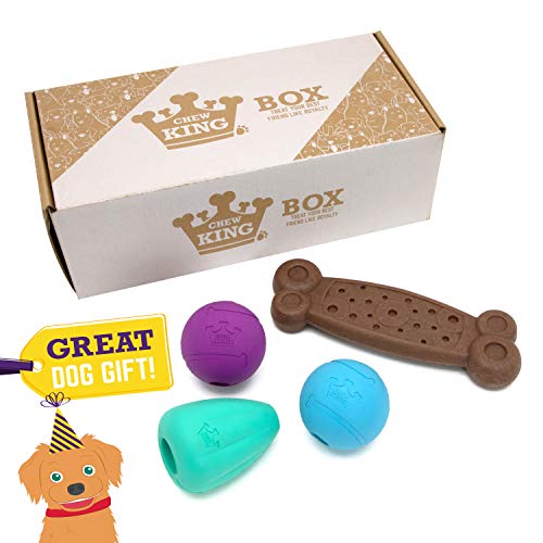 Chew King Hundebox CM-10099-CS01 Apportierbälle, Leckerli- und Kauspielzeug-Kollektion, Blaugrün von Chew King