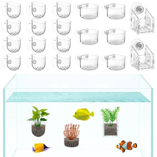 Chewtoyo Aquarium-Pflanzgefäße mit Saugnäpfen, Aquarium-Pflanzgefäß, 20 Stück, Wasserpflanzen-Becher, Wasser-Unkrautbecher mit Loch, transparenter Acryl-Pflanztopf von Chewtoyo