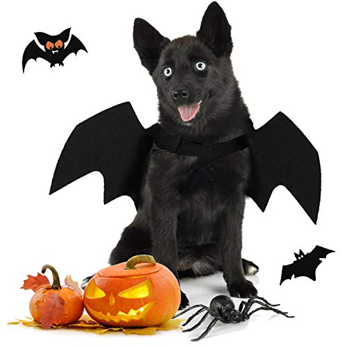 Chewtoyo Fledermausflügel Halloween Haustier Kostüm für Katzen und Hunde, entzückendes Design mit Glocken, ideal für Urlaubspartys von Chewtoyo