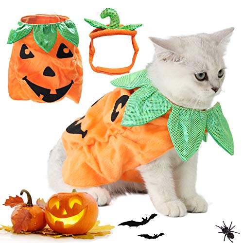 Chewtoyo Katzen-Halloween-Kostüm-Set mit Kürbis-Design, lustige Katzenbekleidung mit Kürbis-Kopfbedeckung für Halloween von Chewtoyo