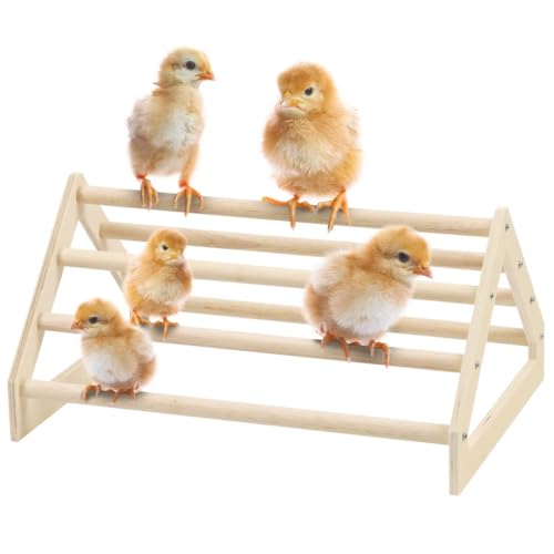 Huhn Roosting Bar, Küken Dschungel Gym Sitzstange Ständer Huhn Holz Natur Ständer Entertainment Spielzeug Bar Holz Küken Bar,Roost Huhn für Baby Küken Hühner Papageien von Chewtoyo