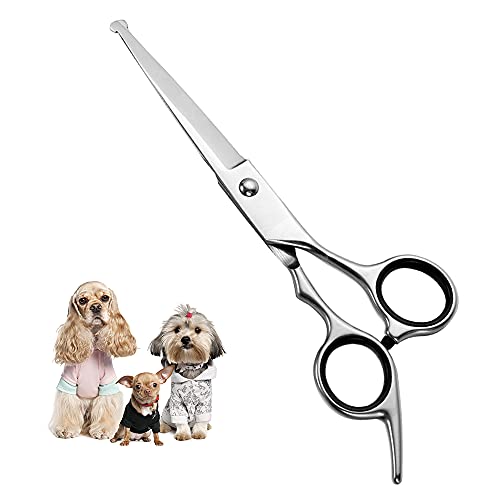 Professionelle Hundeschere mit runder Spitze aus Edelstahl, Augenschneider für Hunde und Katzen, professionelles Fellpflege-Werkzeug, Größe 17 x 6,6 x 1,1 cm von Chi-buy