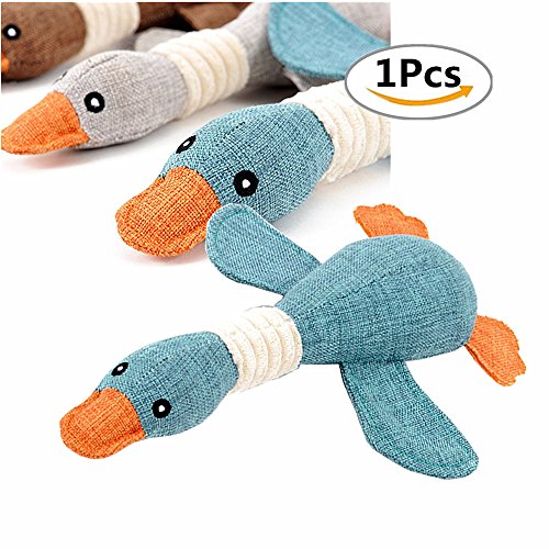 Chickw1 Hund Plüsch quietschend Spielzeug 1Pack Gänse Haustier Hund Plüsch Squeaker Quietschend Spielzeug Ausbildung Chew Gänse Hund Spielzeug (Blau) von Chickwin