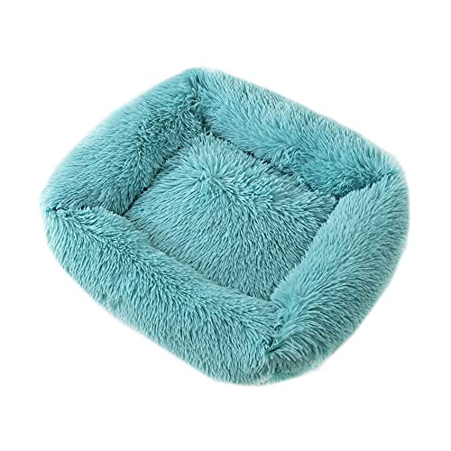 Chickwin Hundebett Hundekissen Flauschiges Plüsch Warmer Donut Katzenbettfür Katzen Und Kleine Mittelgroße Hunde Waschbar Haustierbett (L(80X65X18CM),Cyan) von Chickwin