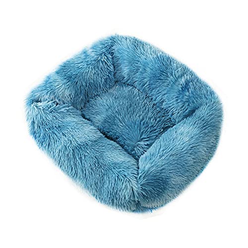 Chickwin Hundebett Hundekissen Flauschiges Plüsch Warmer Donut Katzenbettfür Katzen Und Kleine Mittelgroße Hunde Waschbar Haustierbett (M(65X55X18CM),Seeblau) von Chickwin