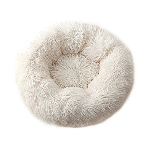 Chickwin Hundebett Rund Hundekissen Flauschiges Plüsch Warmer Donut Katzenbettfür Katzen Und Hunde Waschbar Haustierbett (Weiß,50cm) von Chickwin