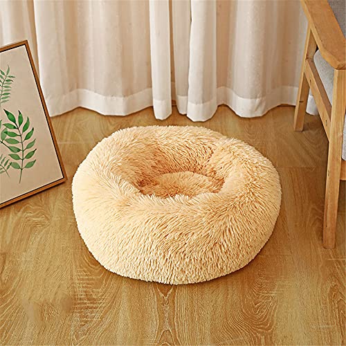 Chickw1 Rund Hundebett für Hunde und Katzen, Warm Weich Katzenbett Donut Plüsches Bett, Waschbar rutschfest Base Haustierbett für Kleine, Mittelgroße und Große Hunde (100CM,Aprikose) von Chickwing