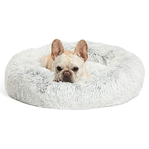 Chickw1 Rund Hundebett für Hunde und Katzen, Warm Weich Katzenbett Donut Plüsches Bett, Waschbar rutschfest Base Haustierbett für Kleine, Mittelgroße und Große Hunde (120CM,hellgrau) von Chickwing