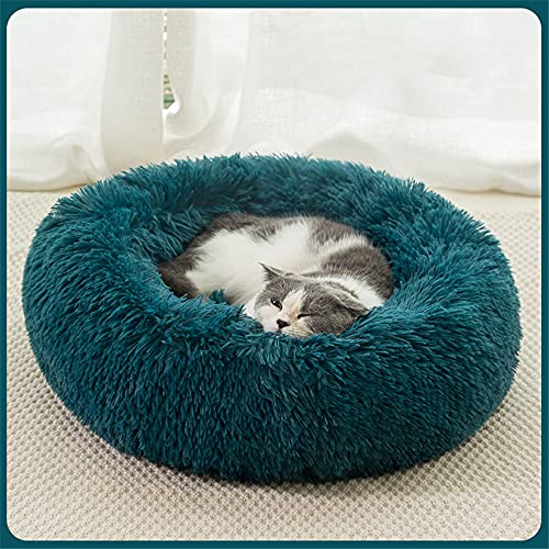 Chickw1 Rund Hundebett für Hunde und Katzen, Warm Weich Katzenbett Donut Plüsches Bett, Waschbar rutschfest Base Haustierbett für Kleine, Mittelgroße und Große Hunde (Cyan,110CM) von Chickwing