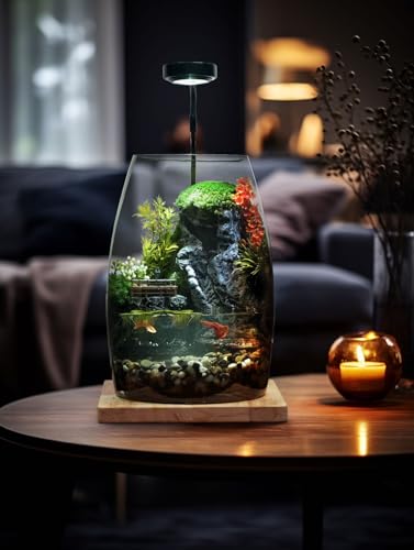 Glas-Pflanzen-Terrarium mit Deckel, Sukkulenten, Moos und Mikro-Landschaftsbehälter, Innendekoration für Haus, Garten, Büro, kompakte Desktop-Vase von Chikoni