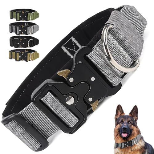 Taktisches Hundehalsband, verstellbares Nylon-Verschlussband-Design für mittelgroße bis große Hunde oder militärisches Hundetraining – Schnellverschluss-Schnalle aus Legierung (Grau, L (46–55,1 cm) von ChildePet