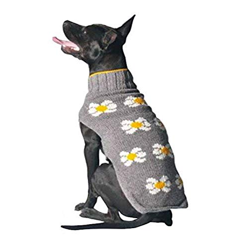 Chilly Hund Daisy Hund Pullover, X-Small von Chilly Dog