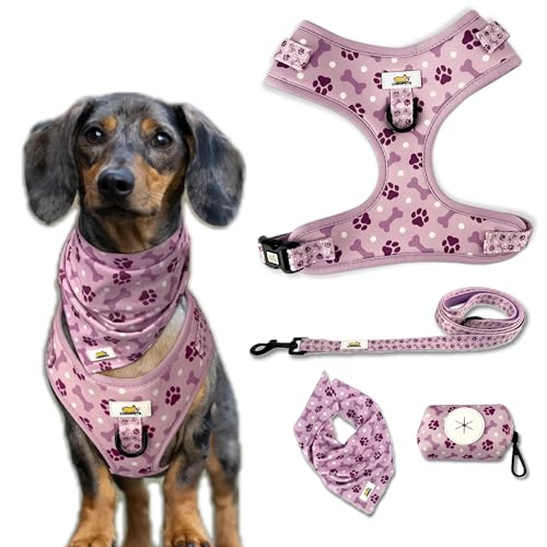 ChimiPets Geschirr-Set (XS, Royal Pawka Dot) von ChimiPets