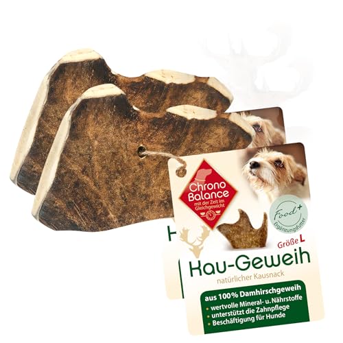 ChronoBalance® L (2er Set) Kaugeweih Damhirsch für Hunde als Kauspielzeug: 100% Geweih Abwurfstange Kaustange Hundespielzeug zur Zahnpflege, natürlicher Kausnack, Mineralstoffe & Nährstoffe von ChronoBalance