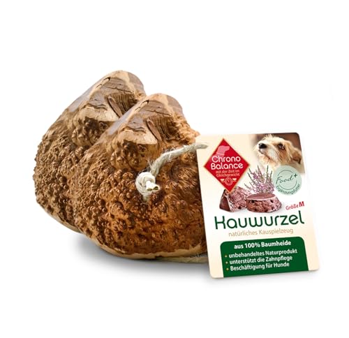 ChronoBalance® Kauwurzel für Hunde L (2er Set) Kauspielzeug Zahnpflege Hundespielzeug aus 100% Baumheide Wurzelholz: Kaustange Leckerli zur Gebissstärkung: natürlich ohne Zusätze, langlebig von ChronoBalance