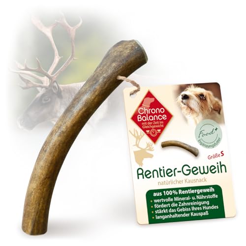 ChronoBalance® Natürlicher Rentier-Geweih Snack für Hunde - Premium-Kauartikel ohne künstliche Zusätze für Langen Kauspaß, Beschäftigung, Stressabbau, Zahnpflege bei Zahnstein S von ChronoBalance