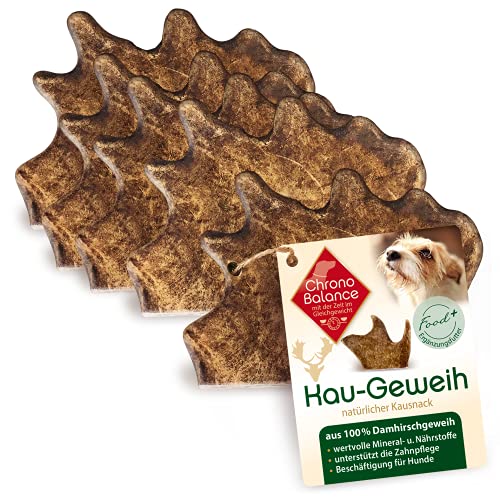 ChronoBalance® S Damwild Hirschgeweih für Hunde Kauspielzeug: 100% Hirschgeweih echt Hundespielzeug zur Zahnpflege, Hunde Kauartikel, Kausnack Hund mit Mineralstoffen & Nährstoffen, S (5er Set) von ChronoBalance