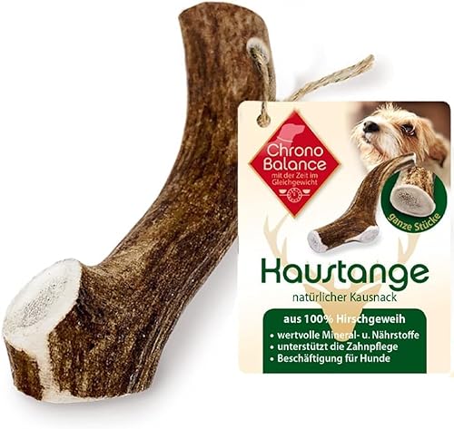 ChronoBalance® XS Kaustange für Hunde ganze Stücke als Kauspielzeug: 100% Hirschgeweih für Hunde, Hundespielzeug, Leckerli Zahnpflege, Kausnack, Geweih Kauknochen, Natürlich ohne Zusätze (1er Set) von ChronoBalance