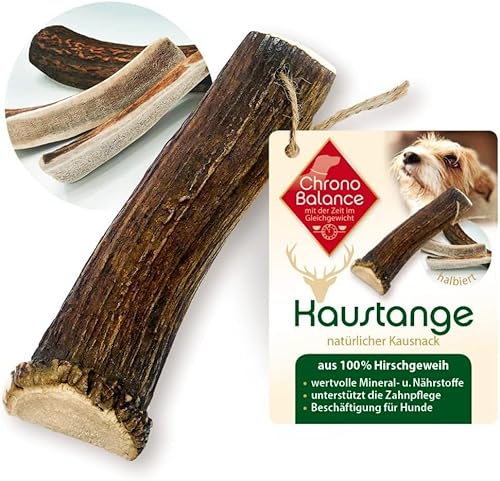 ChronoBalance® XS - Hirschgeweih für Hunde – 1er Set Halbierte Kauspielzeuge, 100% Natürliches Kauknochen Hundespielzeug zur Zahnpflege, Nachhaltige Hunde Kauartikel ohne Chemie von ChronoBalance